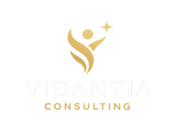 VidaNova Consulting logo
